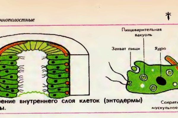 Кракен тор krakendark krakendark link