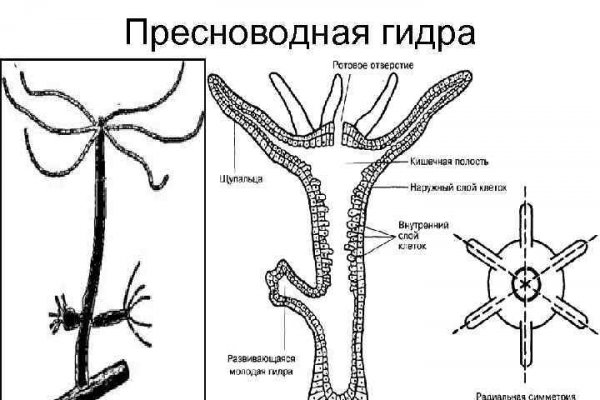 Сайт мега кракен